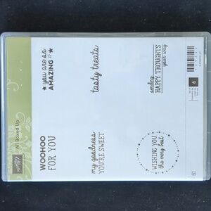 All Boxed Up Stampin Up stamp set